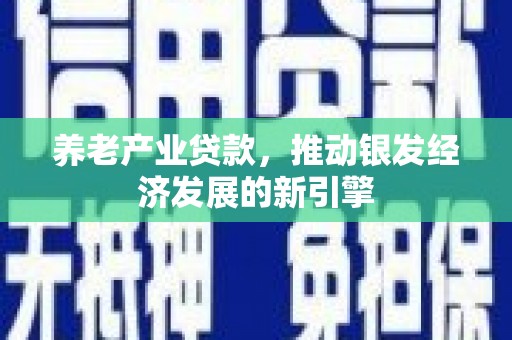 杨浦养老产业贷款，推动银发经济发展的新引擎