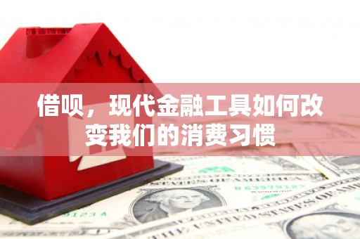 杨浦借呗，现代金融工具如何改变我们的消费习惯