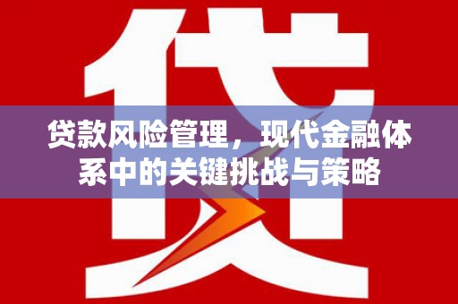杨浦贷款风险管理，现代金融体系中的关键挑战与策略