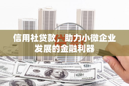 杨浦信用社贷款，助力小微企业发展的金融利器