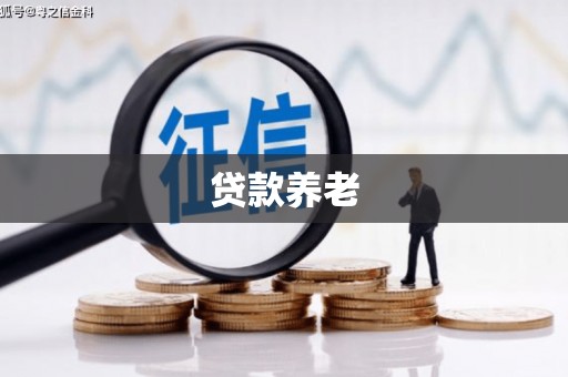 杨浦贷款养老