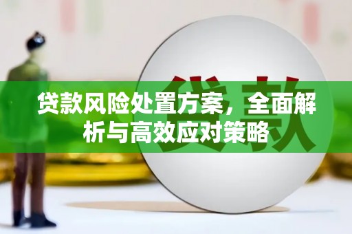 杨浦贷款风险处置方案，全面解析与高效应对策略