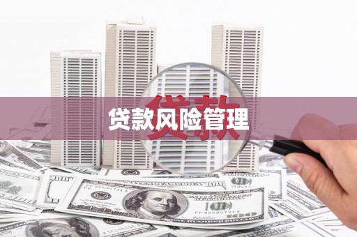 杨浦贷款风险管理