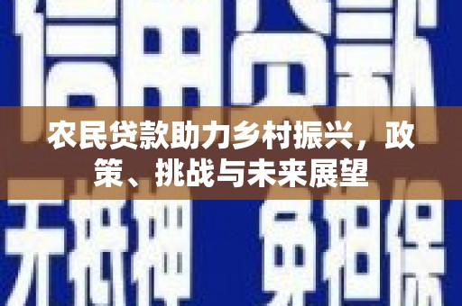 杨浦农民贷款助力乡村振兴，政策、挑战与未来展望