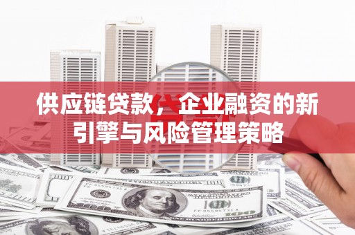 杨浦供应链贷款，企业融资的新引擎与风险管理策略