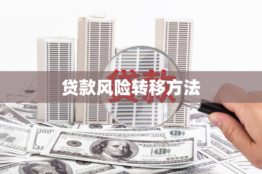 杨浦贷款风险转移方法