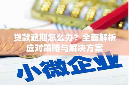 杨浦贷款逾期怎么办？全面解析应对策略与解决方案