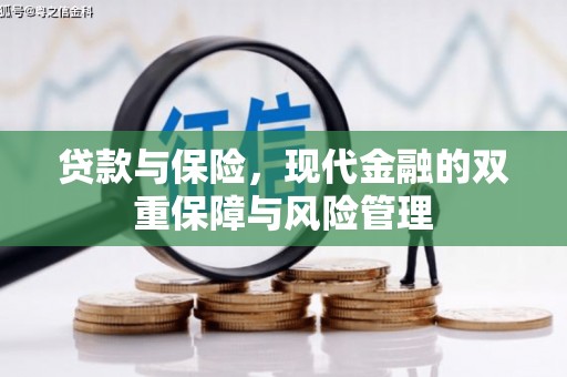 杨浦贷款与保险，现代金融的双重保障与风险管理
