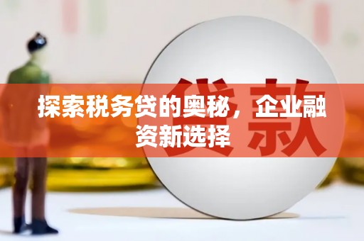 杨浦探索税务贷的奥秘，企业融资新选择