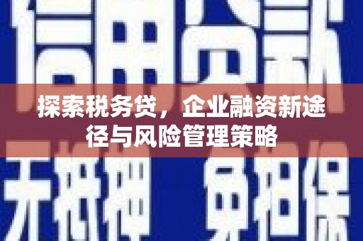杨浦探索税务贷，企业融资新途径与风险管理策略
