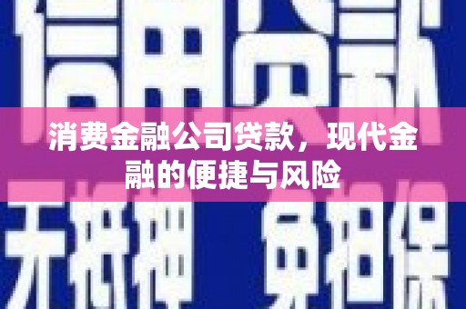 杨浦消费金融公司贷款，现代金融的便捷与风险