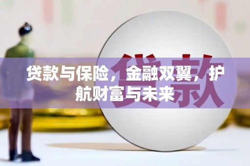 杨浦贷款与保险，金融双翼，护航财富与未来