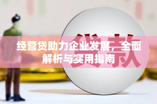 杨浦经营贷助力企业发展，全面解析与实用指南