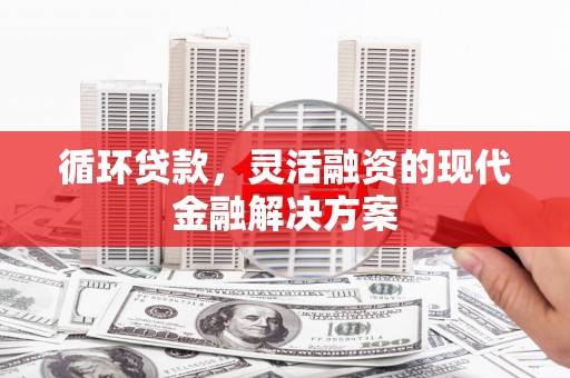 杨浦循环贷款，灵活融资的现代金融解决方案