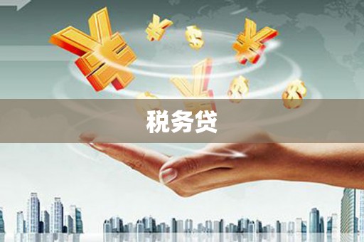 杨浦税务贷