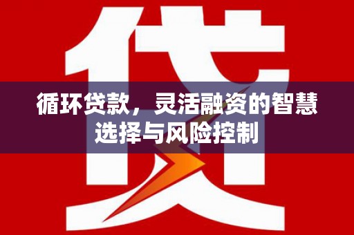 杨浦循环贷款，灵活融资的智慧选择与风险控制