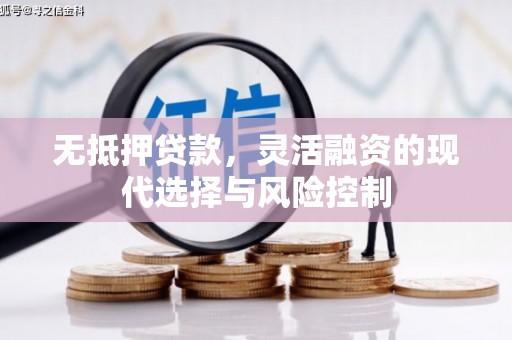 杨浦无抵押贷款，灵活融资的现代选择与风险控制