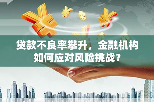 杨浦贷款不良率攀升，金融机构如何应对风险挑战？