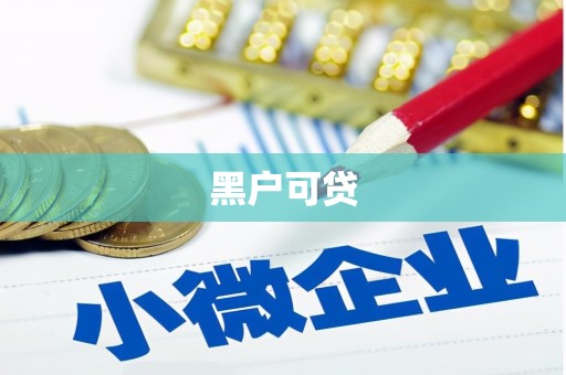 杨浦黑户可贷