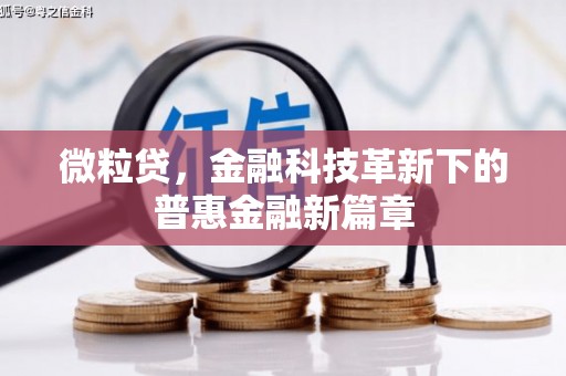杨浦微粒贷，金融科技革新下的普惠金融新篇章