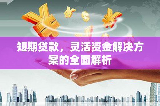 杨浦短期贷款，灵活资金解决方案的全面解析