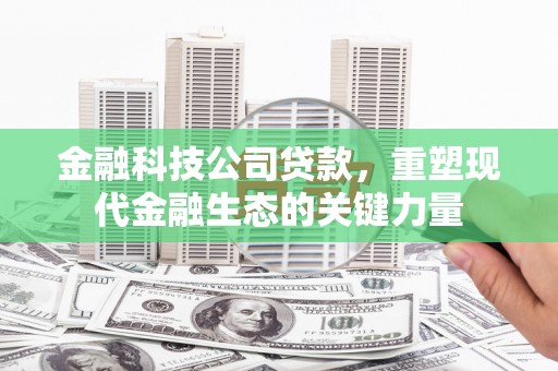 杨浦金融科技公司贷款，重塑现代金融生态的关键力量