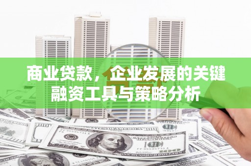 杨浦商业贷款，企业发展的关键融资工具与策略分析