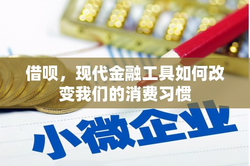 杨浦借呗，现代金融工具如何改变我们的消费习惯