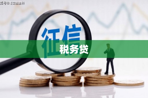 杨浦税务贷