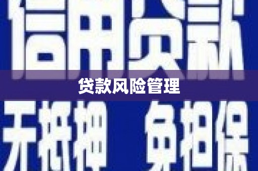 杨浦贷款风险管理