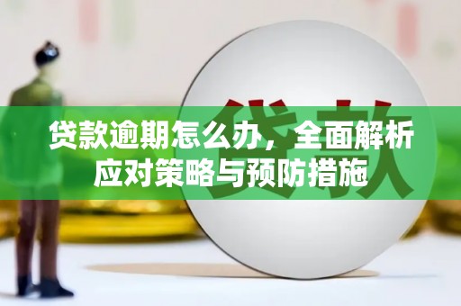 杨浦贷款逾期怎么办，全面解析应对策略与预防措施
