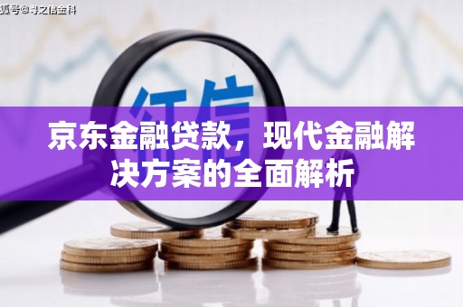 杨浦京东金融贷款，现代金融解决方案的全面解析