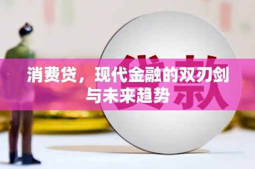 杨浦消费贷，现代金融的双刃剑与未来趋势