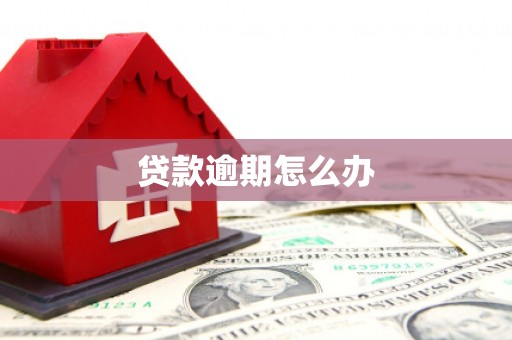 杨浦贷款逾期怎么办