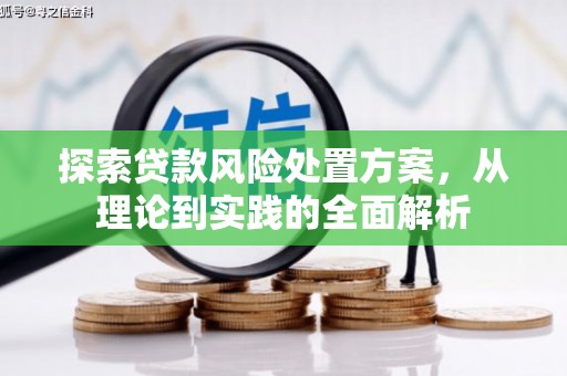杨浦探索贷款风险处置方案，从理论到实践的全面解析