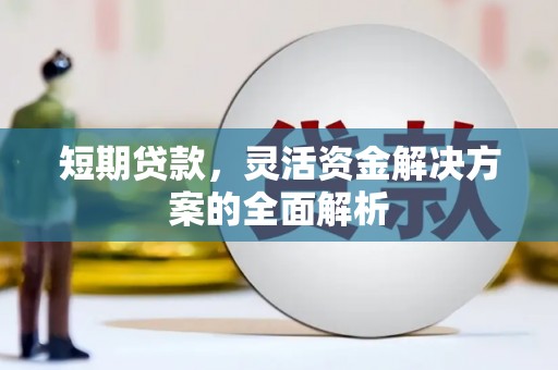 杨浦短期贷款，灵活资金解决方案的全面解析