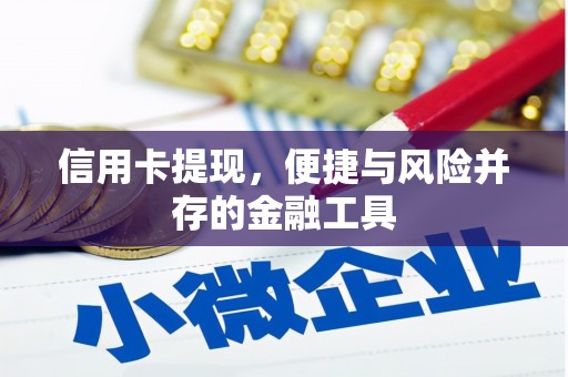 杨浦信用卡提现，便捷与风险并存的金融工具