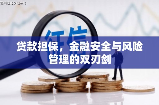 杨浦贷款担保，金融安全与风险管理的双刃剑