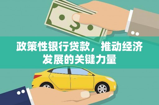 杨浦政策性银行贷款，推动经济发展的关键力量