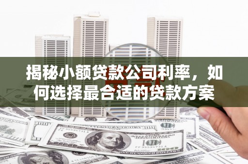杨浦揭秘小额贷款公司利率，如何选择最合适的贷款方案