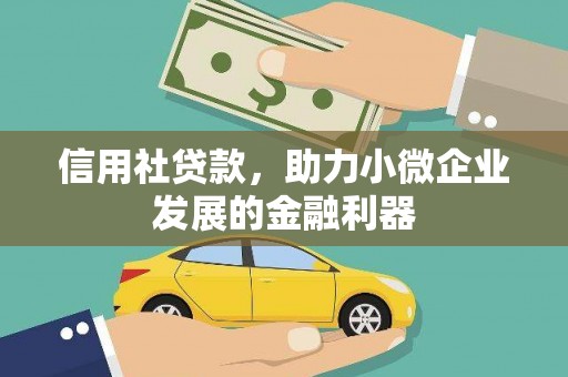 杨浦信用社贷款，助力小微企业发展的金融利器