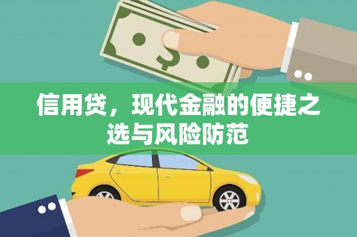 杨浦信用贷，现代金融的便捷之选与风险防范