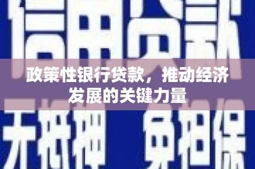 杨浦政策性银行贷款，推动经济发展的关键力量
