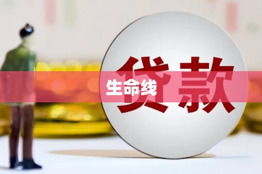 杨浦生命线