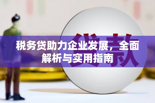 杨浦税务贷助力企业发展，全面解析与实用指南