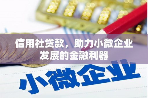 杨浦信用社贷款，助力小微企业发展的金融利器