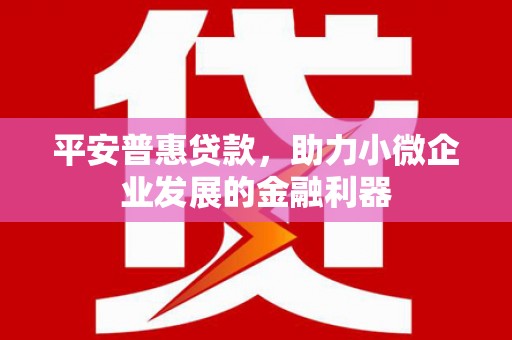 杨浦平安普惠贷款，助力小微企业发展的金融利器