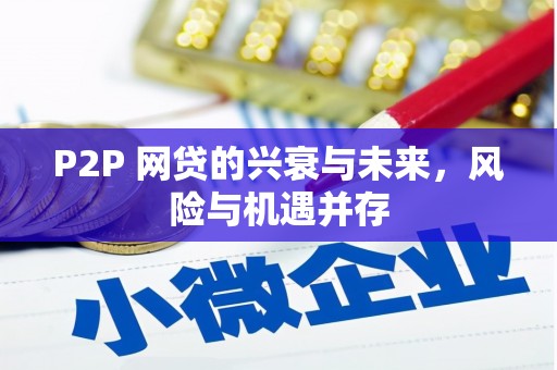 杨浦P2P 网贷的兴衰与未来，风险与机遇并存